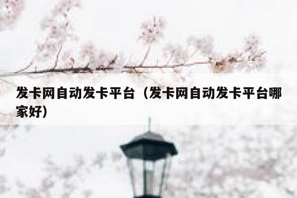 发卡网自动发卡平台（发卡网自动发卡平台哪家好） 第1张