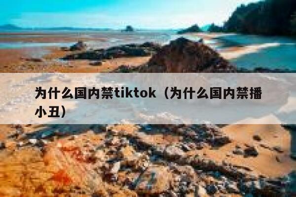 为什么国内禁tiktok（为什么国内禁播小丑） 第1张