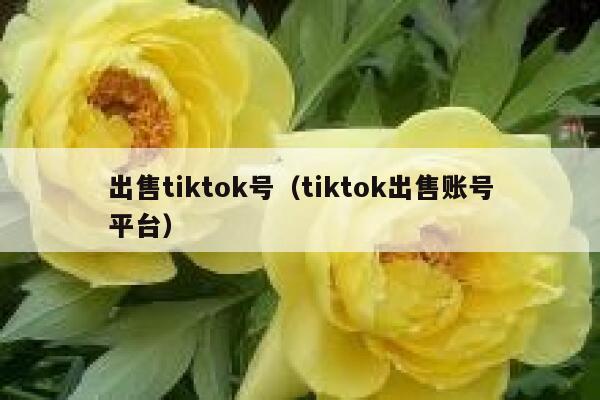 出售tiktok号（tiktok出售账号平台） 第1张
