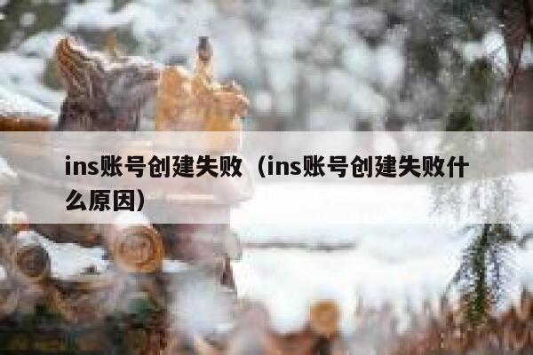 ins账号创建失败（ins账号创建失败什么原因） 第1张