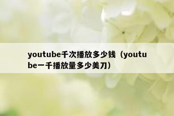 youtube千次播放多少钱（youtube一千播放量多少美刀） 第1张