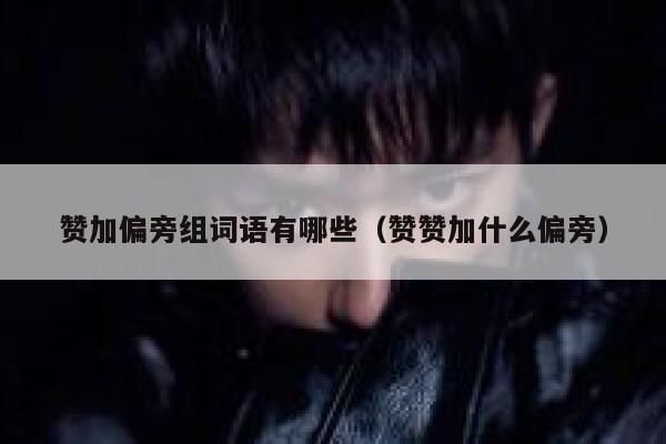 赞加偏旁组词语有哪些（赞赞加什么偏旁） 第1张