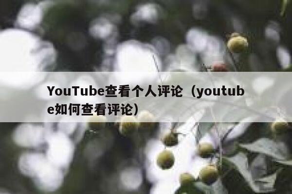 YouTube查看个人评论（youtube如何查看评论） 第1张