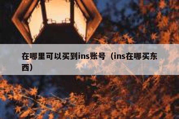 在哪里可以买到ins账号（ins在哪买东西） 第1张