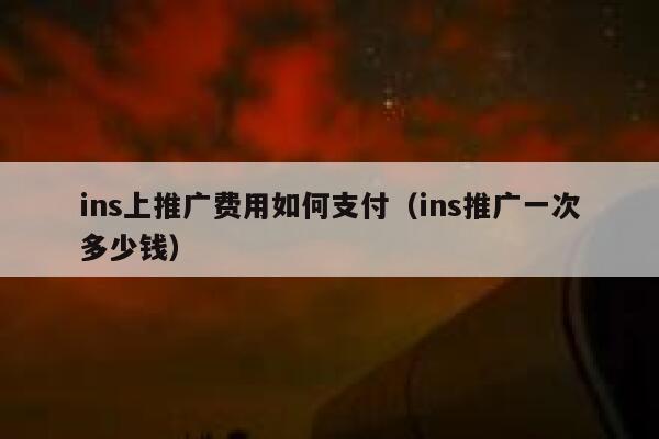 ins上推广费用如何支付（ins推广一次多少钱） 第1张