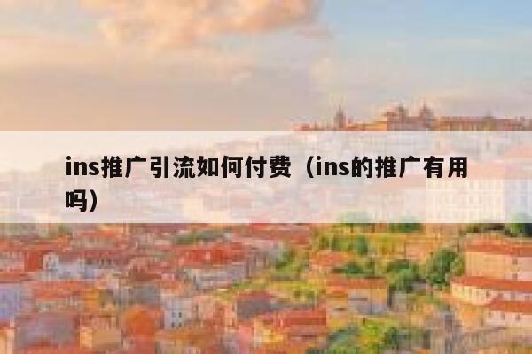 ins推广引流如何付费（ins的推广有用吗） 第1张
