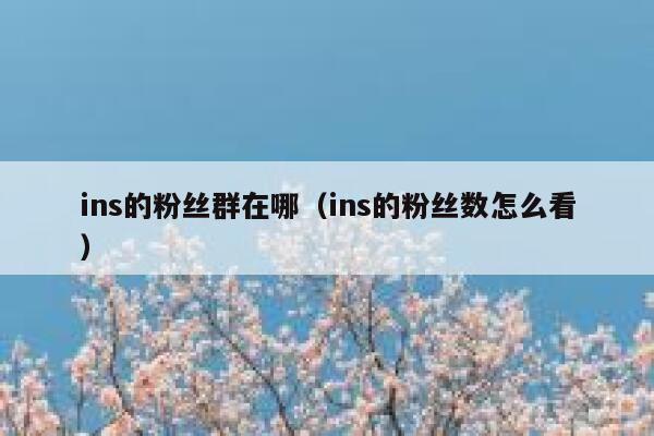 ins的粉丝群在哪（ins的粉丝数怎么看） 第1张