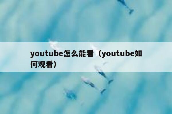 youtube怎么能看（youtube如何观看） 第1张