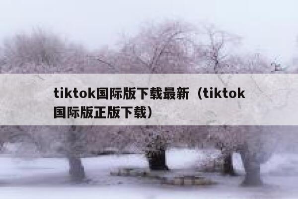 tiktok国际版下载最新（tiktok国际版正版下载） 第1张