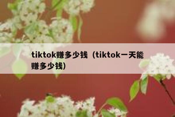 tiktok赚多少钱（tiktok一天能赚多少钱） 第1张