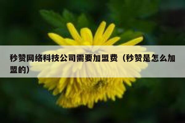 秒赞网络科技公司需要加盟费（秒赞是怎么加盟的） 第1张