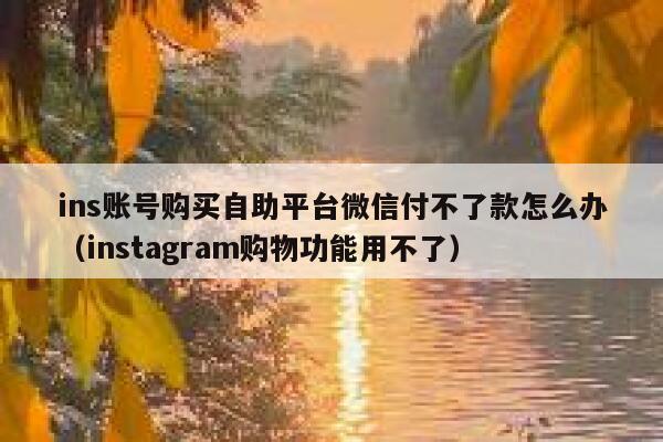 ins账号购买自助平台微信付不了款怎么办（instagram购物功能用不了） 第1张