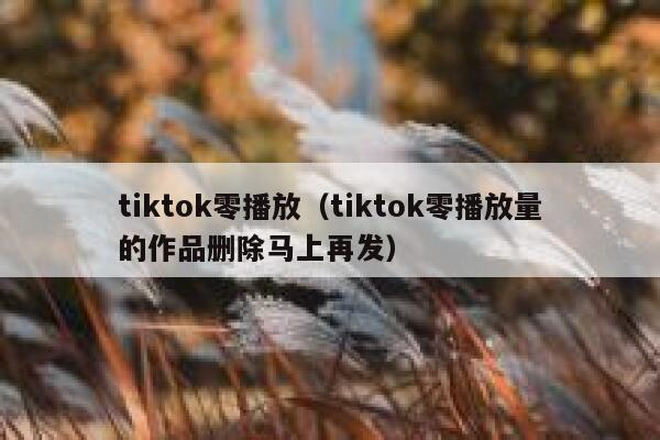 tiktok零播放（tiktok零播放量的作品删除马上再发） 第1张