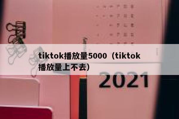tiktok播放量5000（tiktok播放量上不去） 第1张