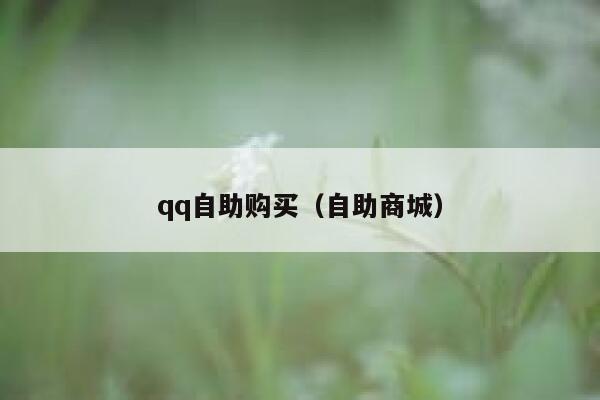 qq自助购买（自助商城） 第1张