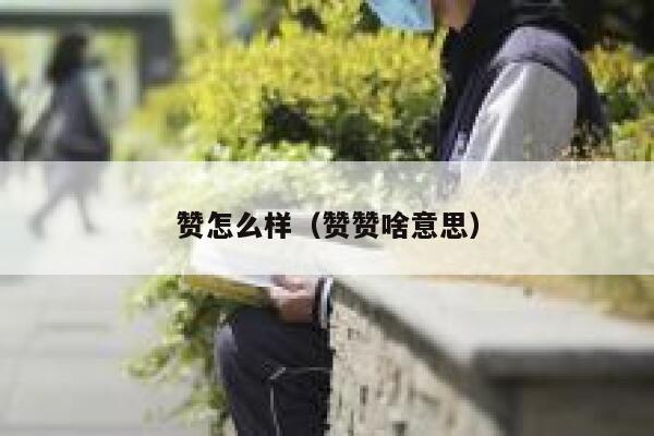 赞怎么样（赞赞啥意思） 第1张