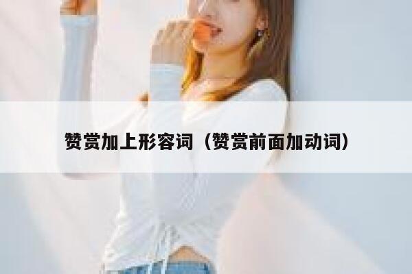 赞赏加上形容词（赞赏前面加动词） 第1张