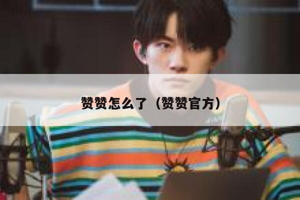 赞赞怎么了（赞赞官方） 第1张