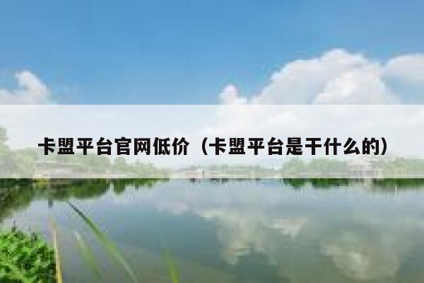 卡盟平台官网低价（卡盟平台是干什么的） 第1张