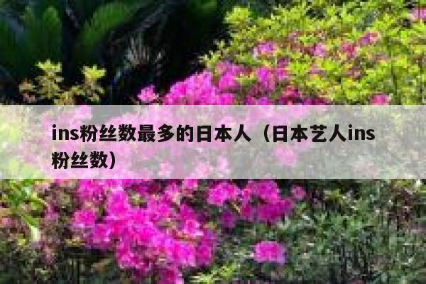 ins粉丝数最多的日本人（日本艺人ins粉丝数） 第1张