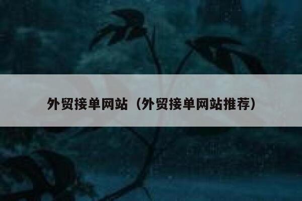 外贸接单网站（外贸接单网站推荐） 第1张