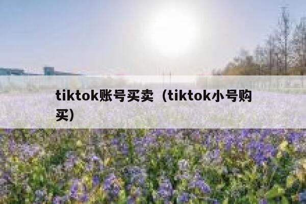 tiktok账号买卖（tiktok小号购买） 第1张
