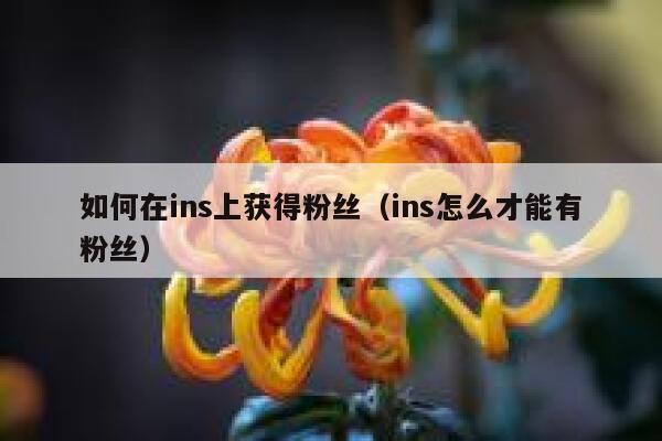 如何在ins上获得粉丝（ins怎么才能有粉丝） 第1张
