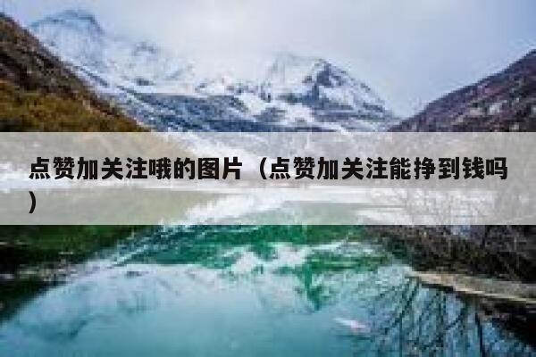 点赞加关注哦的图片（点赞加关注能挣到钱吗） 第1张