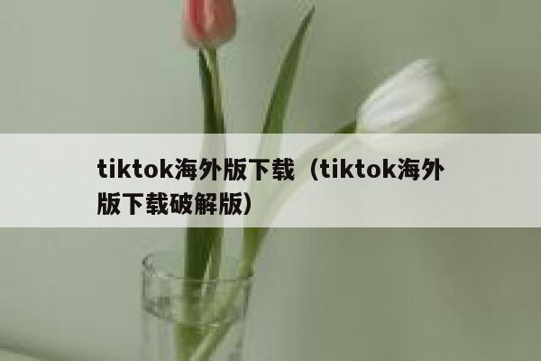 tiktok海外版下载（tiktok海外版下载破解版） 第1张