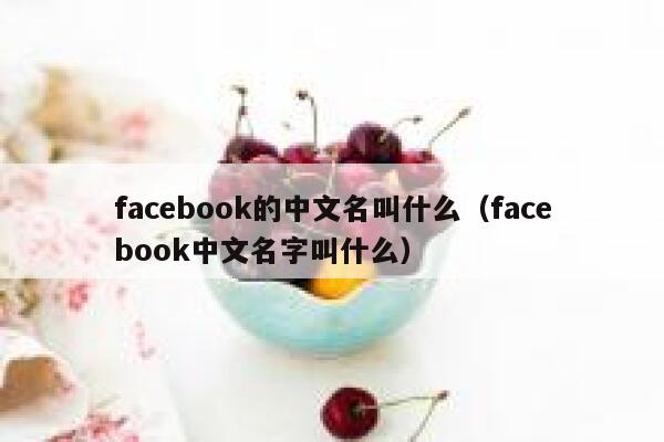 facebook的中文名叫什么（facebook中文名字叫什么） 第1张