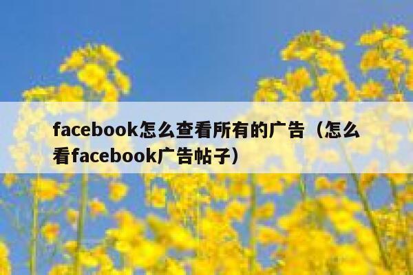 facebook怎么查看所有的广告（怎么看facebook广告帖子） 第1张