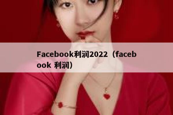 Facebook利润2022（facebook 利润） 第1张