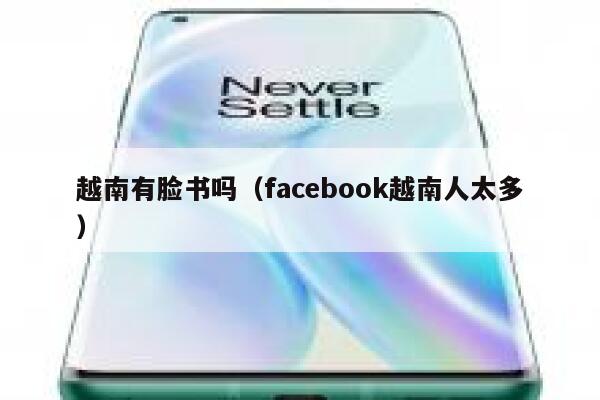 越南有脸书吗（facebook越南人太多） 第1张