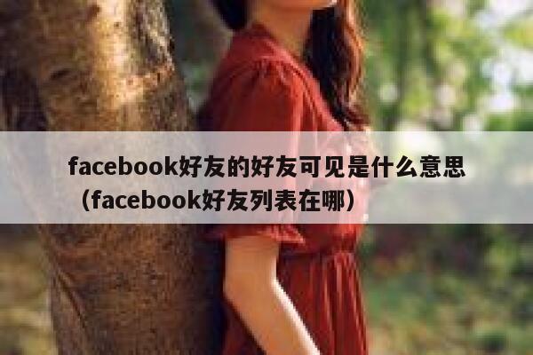 facebook好友的好友可见是什么意思（facebook好友列表在哪） 第1张