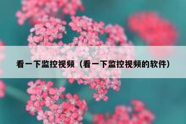 看一下监控视频（看一下监控视频的软件） 第1张