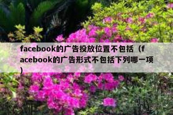 facebook的广告投放位置不包括（facebook的广告形式不包括下列哪一项） 第1张