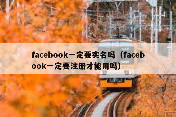 facebook一定要实名吗（facebook一定要注册才能用吗） 第1张