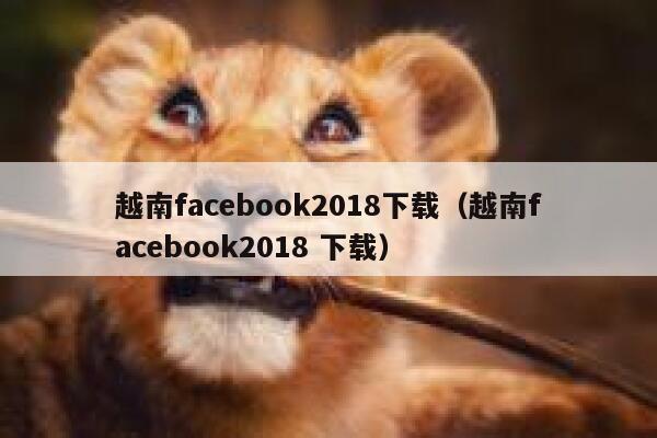 越南facebook2018下载（越南facebook2018 下载） 第1张