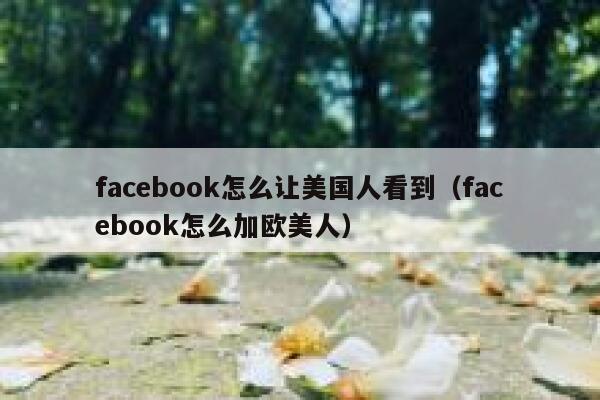 facebook怎么让美国人看到（facebook怎么加欧美人） 第1张