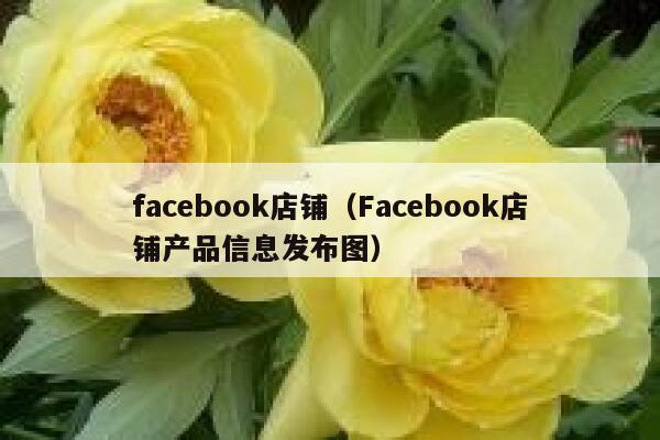 facebook店铺（Facebook店铺产品信息发布图） 第1张