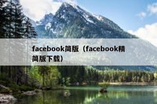 facebook简版（facebook精简版下载） 第1张
