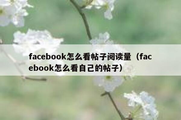 facebook怎么看帖子阅读量（facebook怎么看自己的帖子） 第1张