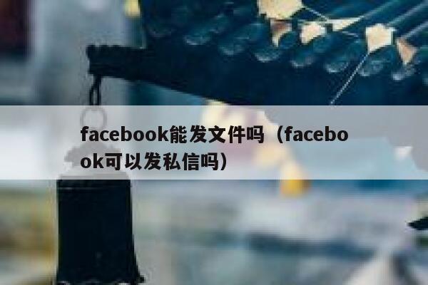 facebook能发文件吗（facebook可以发私信吗） 第1张