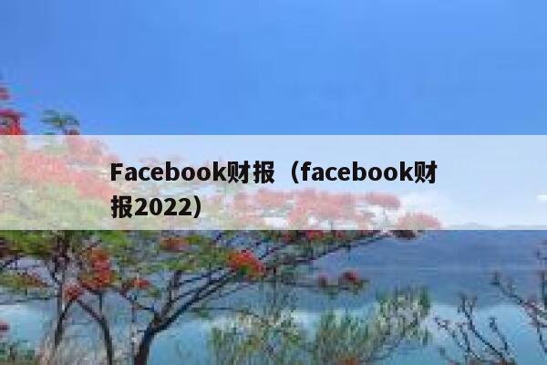 Facebook财报（facebook财报2022） 第1张