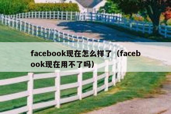 facebook现在怎么样了（facebook现在用不了吗） 第1张
