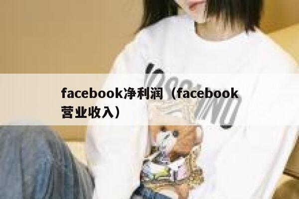 facebook净利润（facebook营业收入） 第1张