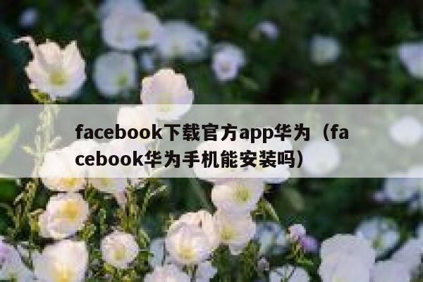 facebook下载官方app华为（facebook华为手机能安装吗） 第1张