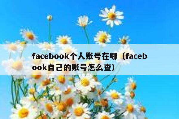 facebook个人账号在哪（facebook自己的账号怎么查） 第1张