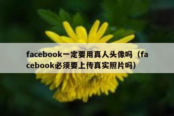 facebook一定要用真人头像吗（facebook必须要上传真实照片吗） 第1张