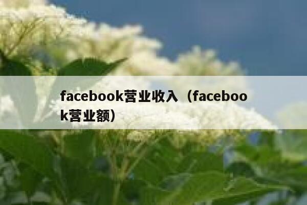 facebook营业收入（facebook营业额） 第1张